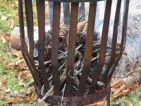 Weihnachtsbaumsetzen