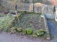 Pflanzen vom Vorjahr