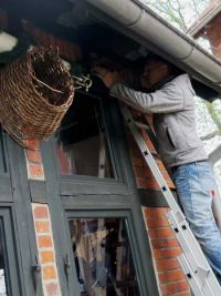 Neuer Nistplatz - Umzugsvorbereitung