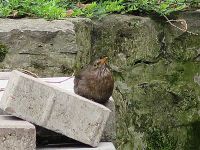 Was die wohl machen?