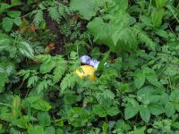 Ostereierverstecken 2017