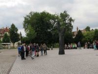 Stadtführung in Bamberg