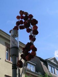 Wolleblüten in Apolda