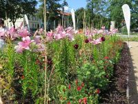 Am Eingang zur Landesgartenschau