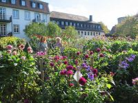 Fulda - Dahliengarten