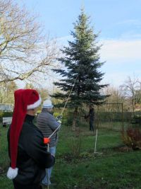 Weihnachtsbaumsetzen 2017