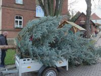 Weihnachtsbaumsetzen 2017