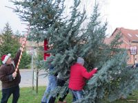 Weihnachtsbaumsetzen 2017