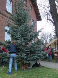 Weihnachtsbaumsetzen 2017