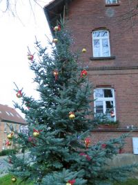 Weihnachtsbaumsetzen 2017