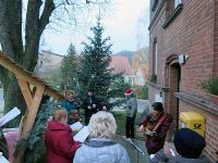 Weihnachtsbaumsetzen 2017