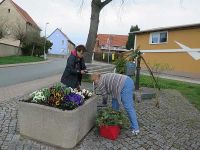 Abbau der Osterkrone