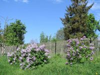 Frühjahrswanderung 2018