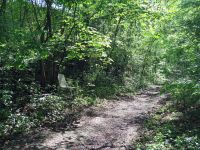 Frühjahrswanderung 2018