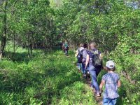 Frühjahrswanderung 2018