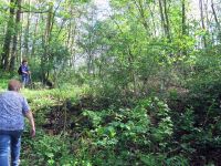 Frühjahrswanderung 2018