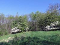 Frühjahrswanderung 2018