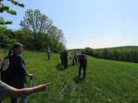 Frühjahrswanderung 2018