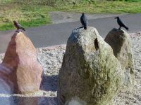 Frühjahrsfahrt 2018 - in Schwarzkollm