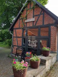 Nach dem Pflanzen am 21.5.2018