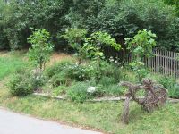 Weinhang nach dem Verschnitt