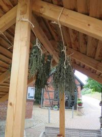 Dürrebild am 27.6.2018