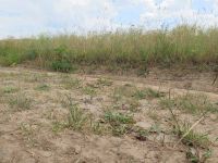 Dürrebild am 27.6.2018