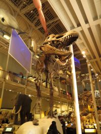 Edinburgh - Nationalmuseum