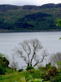 Loch Ness