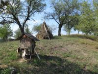 Rohrborner Waidmühlenfest