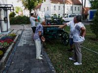 Rohrborner Waidmühlenfest