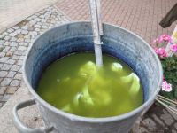 Vorbereitung Waidfest