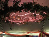 Vorbereitung Waidfest