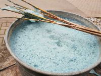 Färben mit frischen Waidblättern