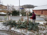 Abschmücken des Weihnachtsbaumes