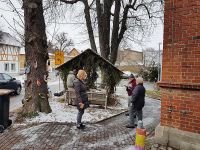 Abschmücken des Weihnachtsbaumes