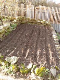 Waidbeet im Jahr 2021