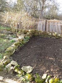 Waidbeet im Jahr 2021