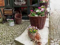 Blumenkörbe am Museum