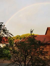 221. Vereinsversammlung