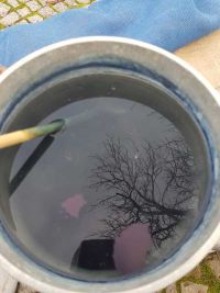 Heimatvereinsbeitrag zur Baumpflazaktion