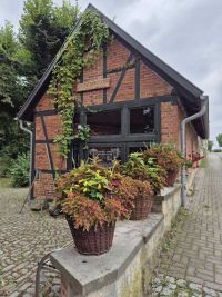 Museumsbepflanzung 2025