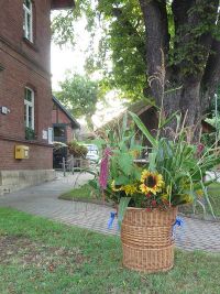 Waidfestvorbereitung