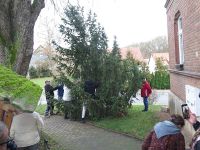 Weihnachtsbaumsetzen 2025