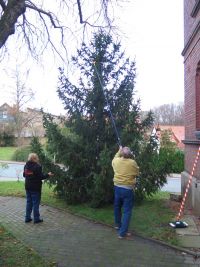 Weihnachtsbaumsetzen 2025