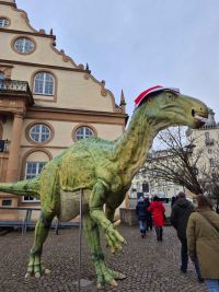 Nikolausfahrt nach Kassel
