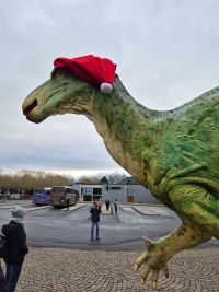 Nikolausfahrt nach Kassel