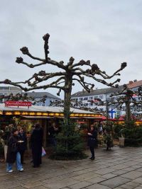 Nikolausfahrt nach Kassel