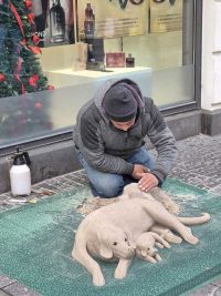 Nikolausfahrt nach Kassel