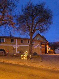 Weihnachtliche Minzebank